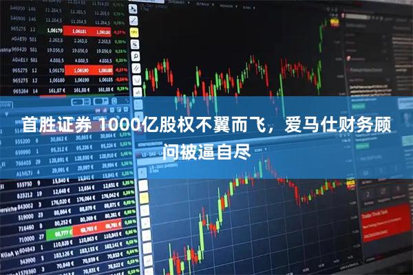 首胜证券 1000亿股权不翼而飞，爱马仕财务顾问被逼自尽