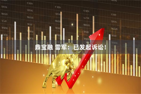 鼎宝融 雷军：已发起诉讼！