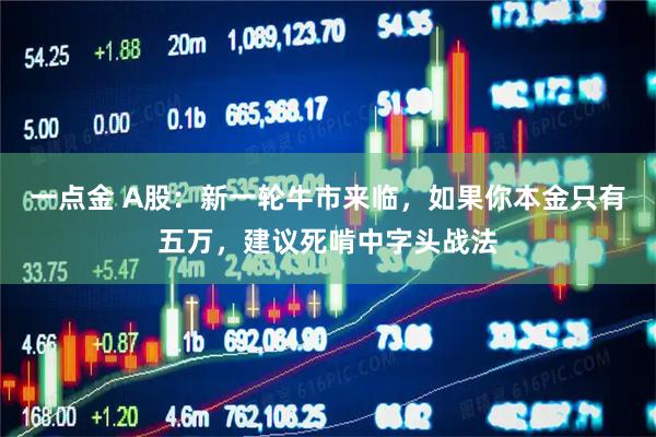 一点金 A股：新一轮牛市来临，如果你本金只有五万，建议死啃中字头战法