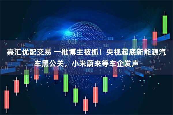 嘉汇优配交易 一批博主被抓！央视起底新能源汽车黑公关，小米蔚来等车企发声