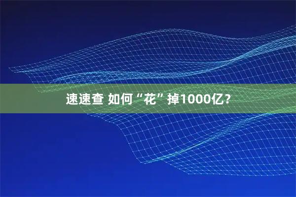 速速查 如何“花”掉1000亿？