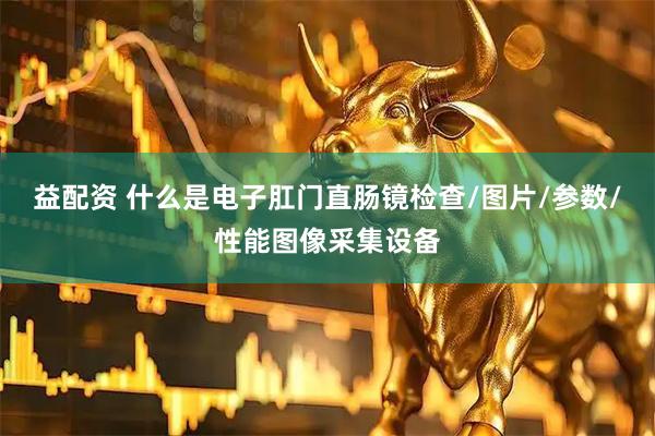 益配资 什么是电子肛门直肠镜检查/图片/参数/性能图像采集设备