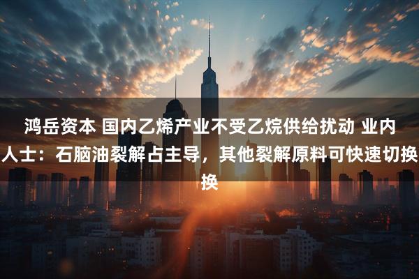 鸿岳资本 国内乙烯产业不受乙烷供给扰动 业内人士：石脑油裂解占主导，其他裂解原料可快速切换