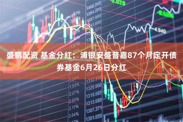盛鹏配资 基金分红：浦银安盛普嘉87个月定开债券基金6月26日分红