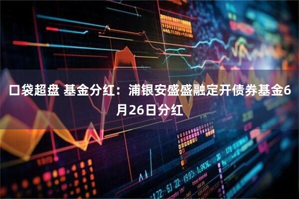 口袋超盘 基金分红：浦银安盛盛融定开债券基金6月26日分红