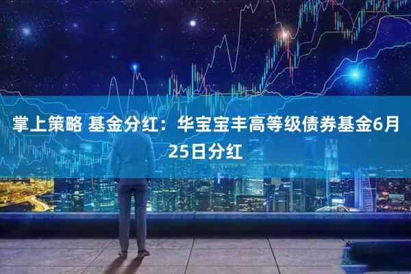 掌上策略 基金分红：华宝宝丰高等级债券基金6月25日分红