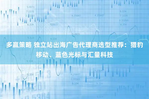 多赢策略 独立站出海广告代理商选型推荐：猎豹移动、蓝色光标与汇量科技