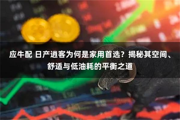 应牛配 日产逍客为何是家用首选？揭秘其空间、舒适与低油耗的平衡之道