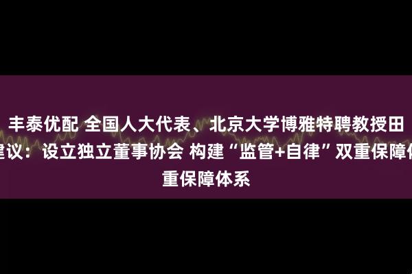 丰泰优配 全国人大代表、北京大学博雅特聘教授田轩建议：设立独立董事协会 构建“监管+自律”双重保障体系